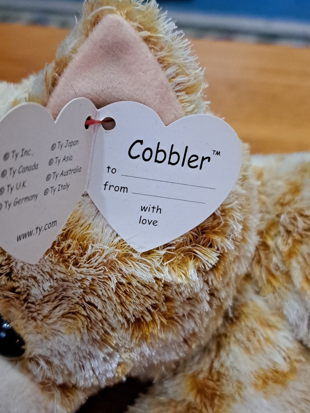 🔥SPECIAL ITEM! Ty Cobbler Cat Plush - Picture 4 of 10